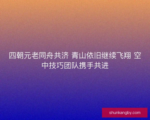 四朝元老同舟共济 青山依旧继续飞翔 空中技巧团队携手共进