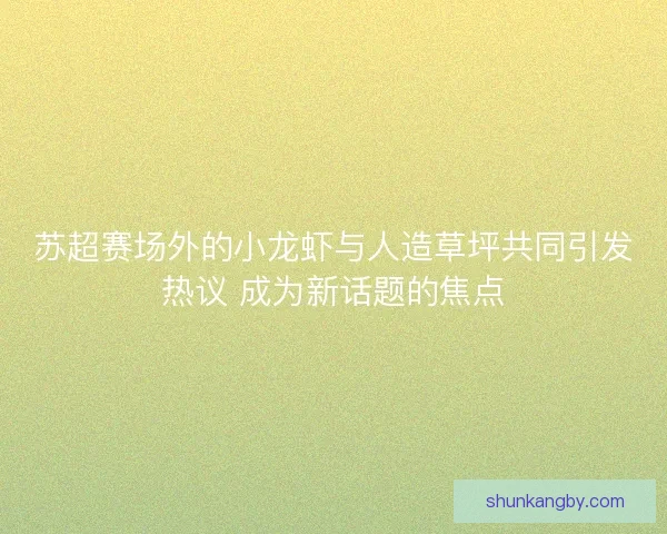 苏超赛场外的小龙虾与人造草坪共同引发热议 成为新话题的焦点 苏超赛场外的小龙虾与人造草坪共同引发热议 成为新话题的焦点